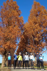 メタセコイア集合写真